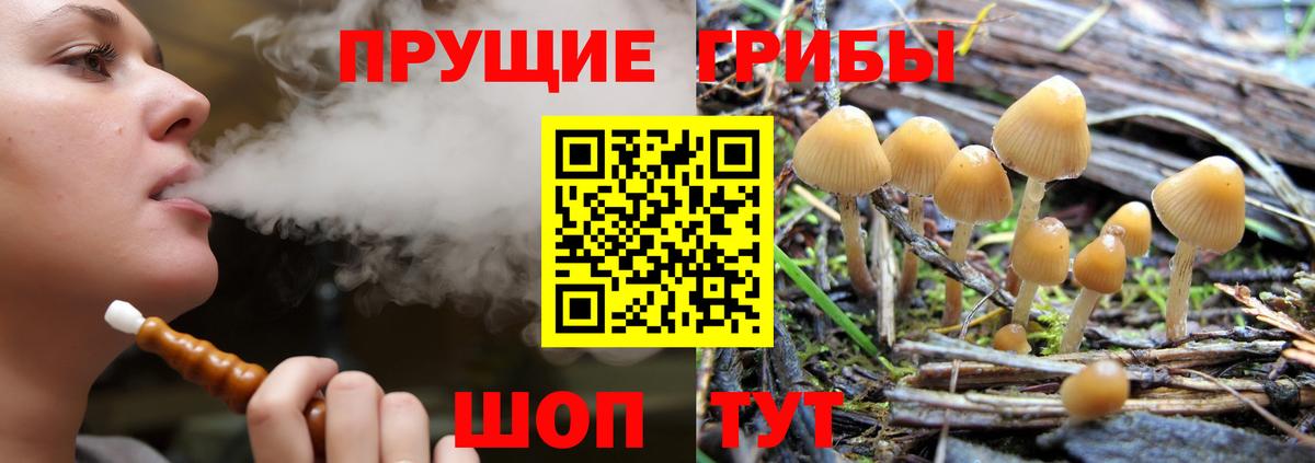 Псилоцибиновые грибы ЛСД  Вход с VPN  Мурманск 